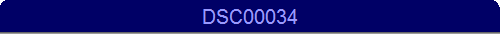 DSC00034