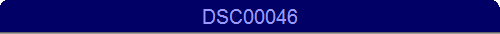 DSC00046