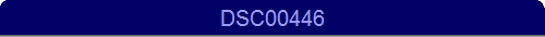DSC00446