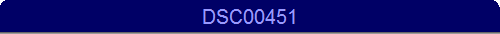 DSC00451