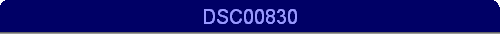 DSC00830