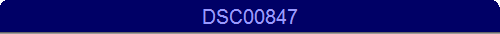 DSC00847