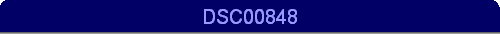 DSC00848
