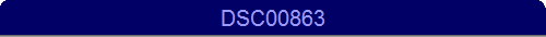 DSC00863