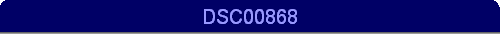 DSC00868