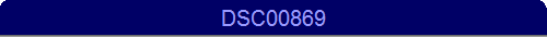 DSC00869