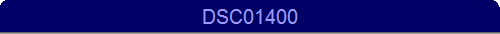 DSC01400