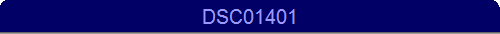 DSC01401