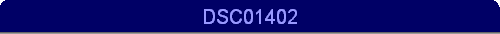 DSC01402