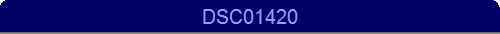 DSC01420