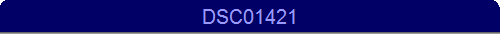 DSC01421
