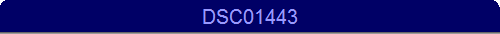 DSC01443