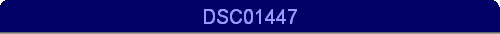 DSC01447