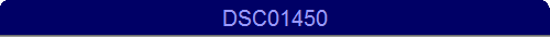 DSC01450