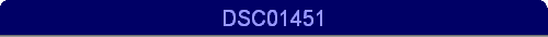 DSC01451