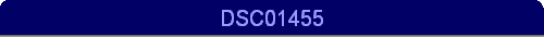 DSC01455