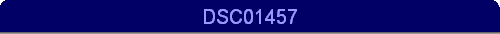 DSC01457