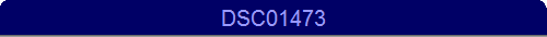 DSC01473