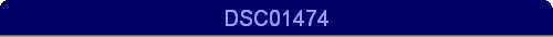 DSC01474