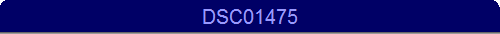 DSC01475