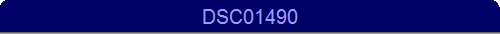 DSC01490