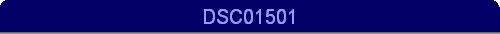 DSC01501