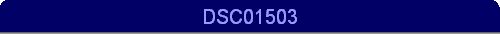DSC01503