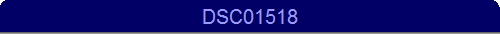 DSC01518