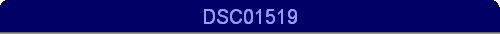 DSC01519