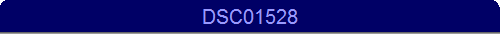 DSC01528