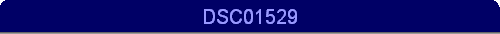 DSC01529
