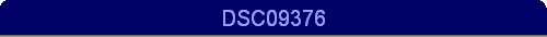 DSC09376