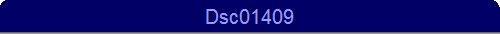 Dsc01409