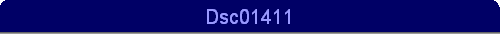 Dsc01411