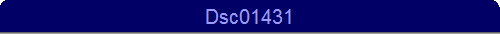 Dsc01431