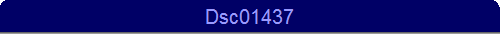 Dsc01437