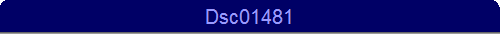 Dsc01481