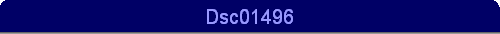 Dsc01496